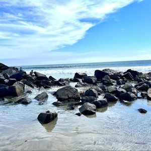 Meet your Posher, Deanne